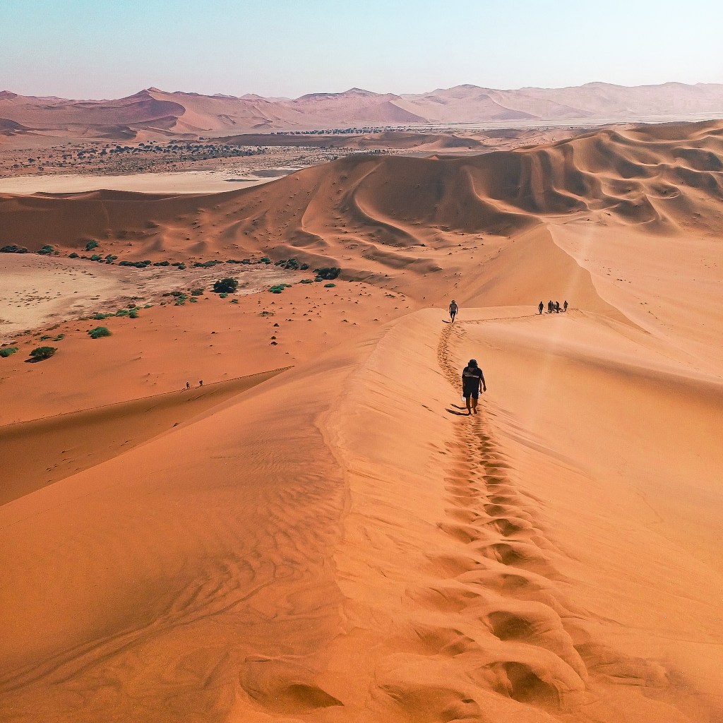 #8. A Nine Day Namibian Adventure 